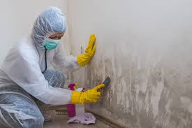 Best Comprehensive Air Testing for Mold Contaminants  in Dobson, NC